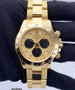 Rolex Daytona Champagne Dial